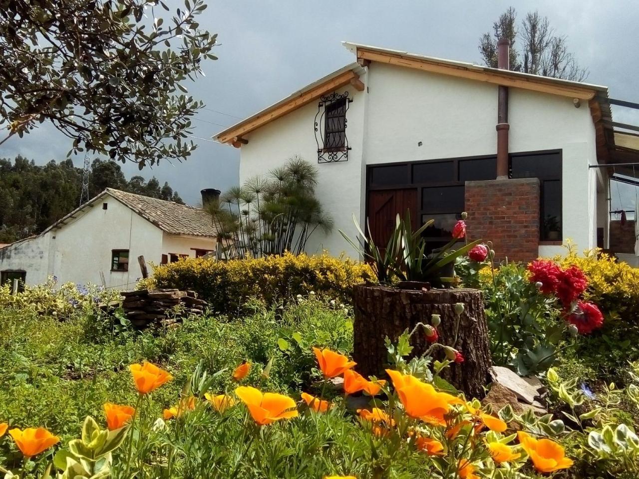 Cabanas & Glamping De Ruana Por Boyaca Paipa Esterno foto